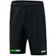 SG Motor Wilsdruff Trainingsshort Profi, Junior